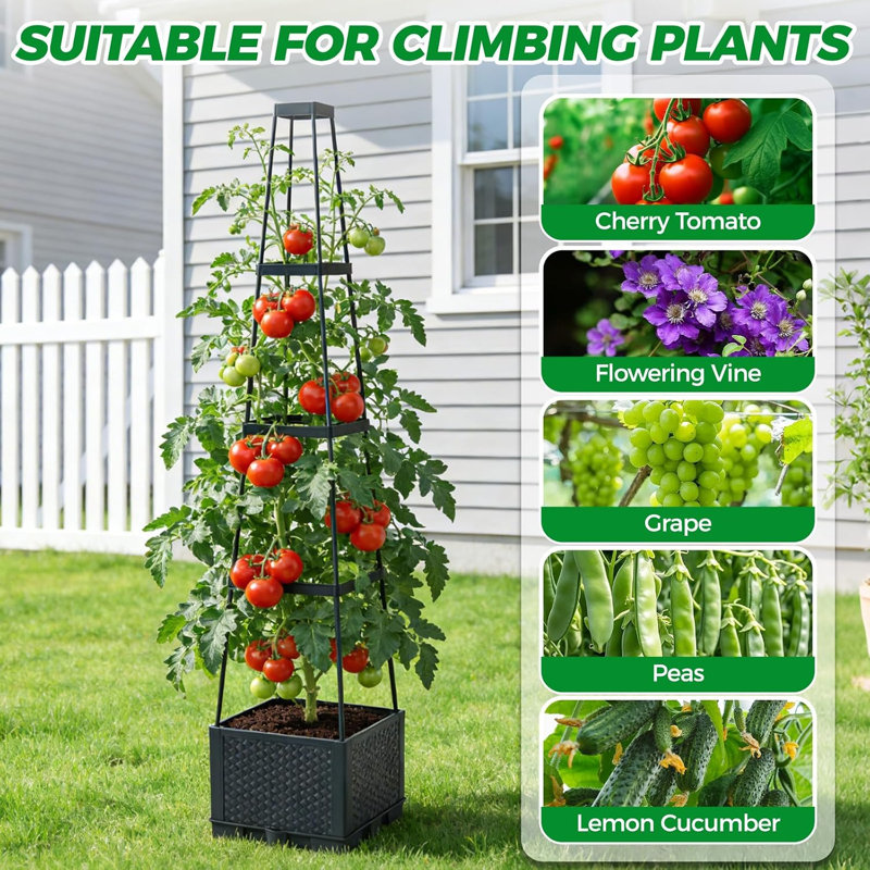 Pot Planter