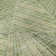 Premium Machine Washable Prisco Green Rug