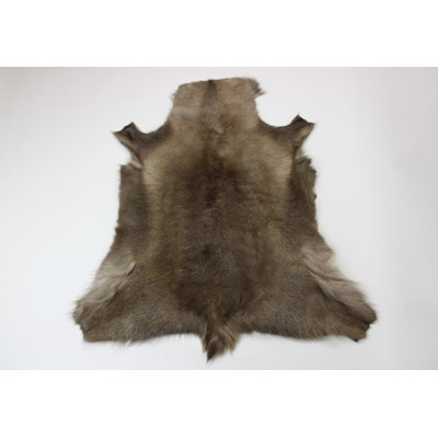 Waite Novelty 100 cm x 125 cm Animal Print Area Rug