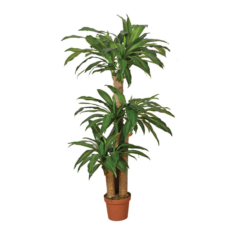 145cm Faux Dracaena Plant in Pot
