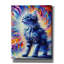 «Nice Kitty» par Rich Monet, art mural sur toile-1077182542