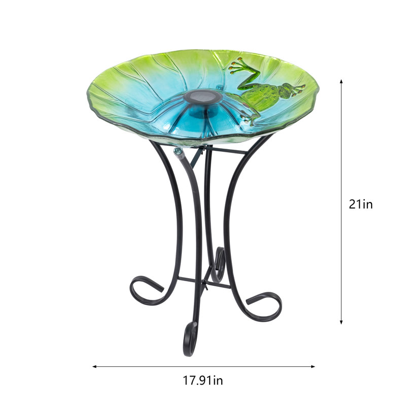 Solar Frog Bird Bath