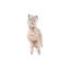 «Llama Silly» par Wandering Laur - impression d'art graphique-52875597-52875596-52875595
