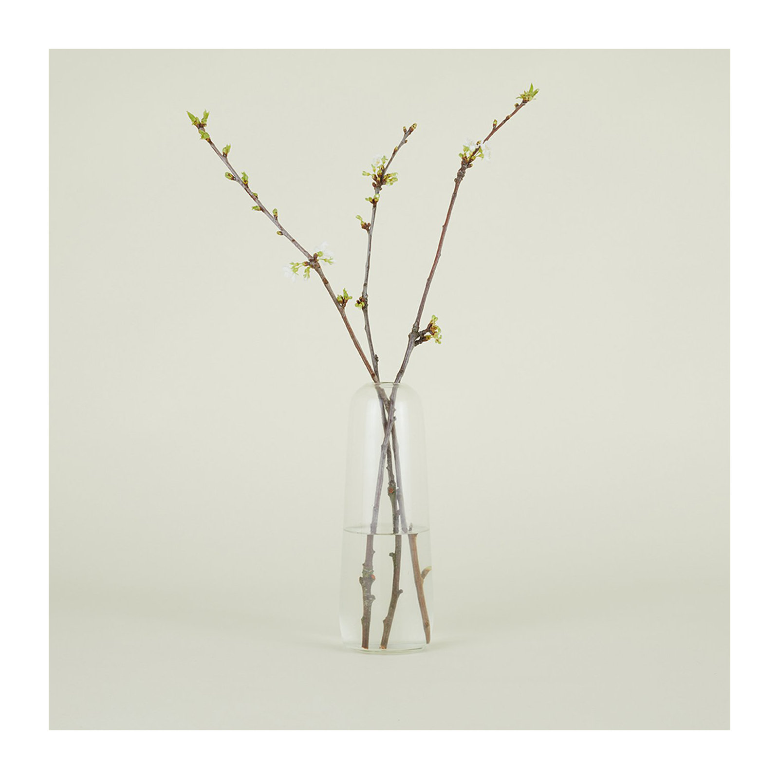Aurora Handmade Glass Table Vase, Clear, 11.5" H x 4" W x 4" D