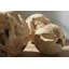Teak Wood Ball Extra Large Sculpture