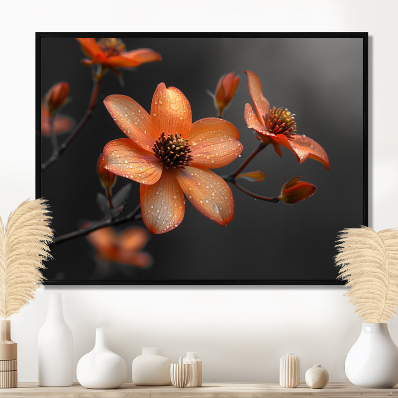 Fleur d'été cornouiller monochrome orange noir II - cornouiller, Toile avec cadre flottant noir, H 12 po x l 20 po x P 1 po
