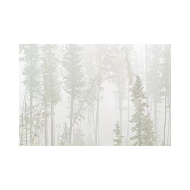 Canada, Ontario, Ear Falls. Forest In Fog by Jaynes Gallery - Wrapped Canvas Print, 45.72cm H x 66.04cm W x 1.905cm D