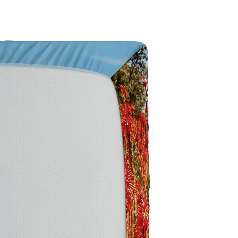 Microfiber Fitted Sheet, Queen Fitted Sheet
