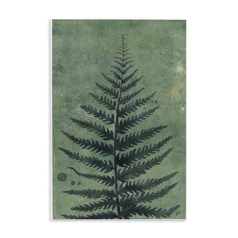 «Rustic Fern Impression» par Lydia Orange, H 15 po x l 10 po