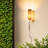 SHELL CANDY WALL LAMP