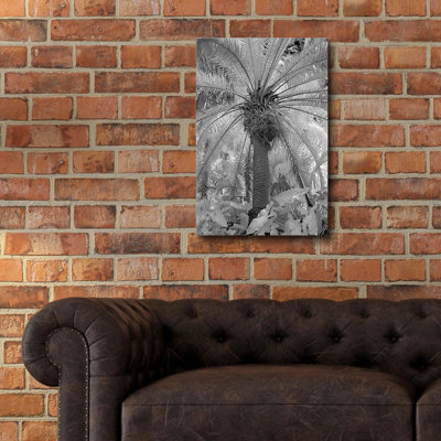«Radiant Palm Fl 7423» par Mike Jones, art mural en verre acrylique, 16 po x 24 po