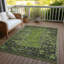 Tapis olive intérieur / extérieur lavable à la machine Xhevrie-1357618739