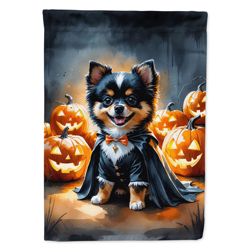 Drapeau de jardin chiot Halloween, Poméranien noir et brun clair