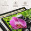 «Zen Stones For Spa»-100705411