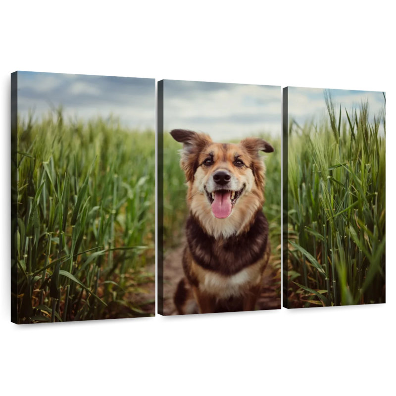 Brampt Dog In The Cornfield, 20" H x 33" W