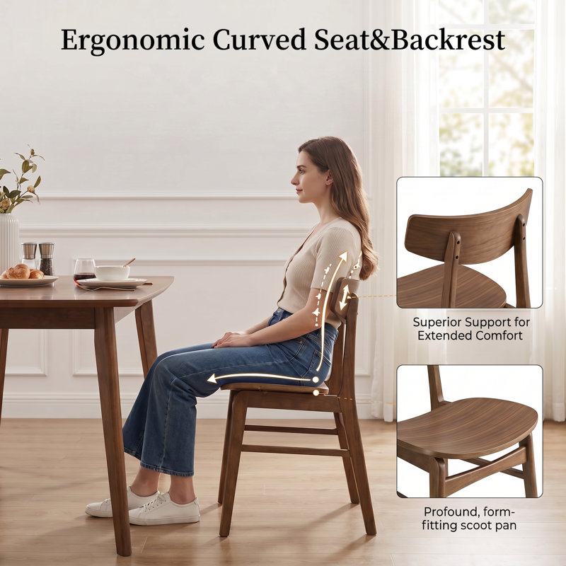 Solid Wood Dining Chair with Curved Seat&Back, Walnut