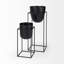 Bumble Black Plant Stands