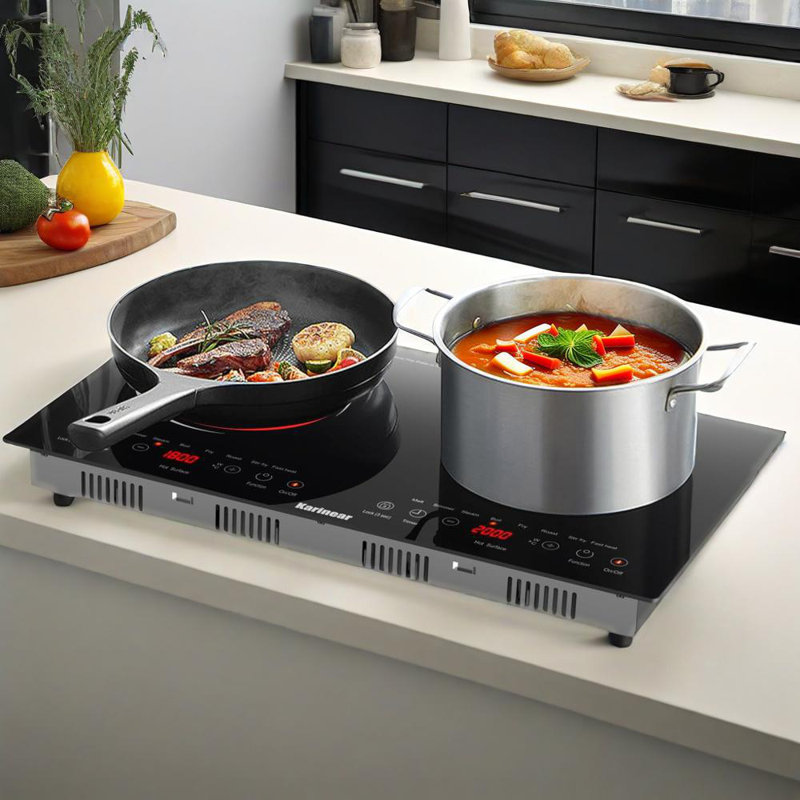 Plaque de cuisson électrique 2 brûleurs Karinear Elecric, plaque de cuisson encastrable 24 pouces avec prise 110 V, radiant électrique portatif