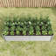 Lit de jardin surélevé en métal durable, 6 x 3 x 1 pi, idéal pour les plantes, les légumes et les fleurs avec une base ouverte pour le drainage-1831139917