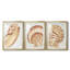 «Vintage Shell Vignette I», impression encadrée sur mesure de qualité supérieure mate - 3 pièces-2126711603-2126711606