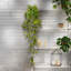 41 "plante à feuillage artificiel