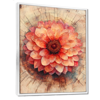 Gorah Dahlia fleur sur glissade sur bois - art mural Dahlia