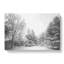 Winter Forest Vol.6 - Wrapped Canvas-61881233