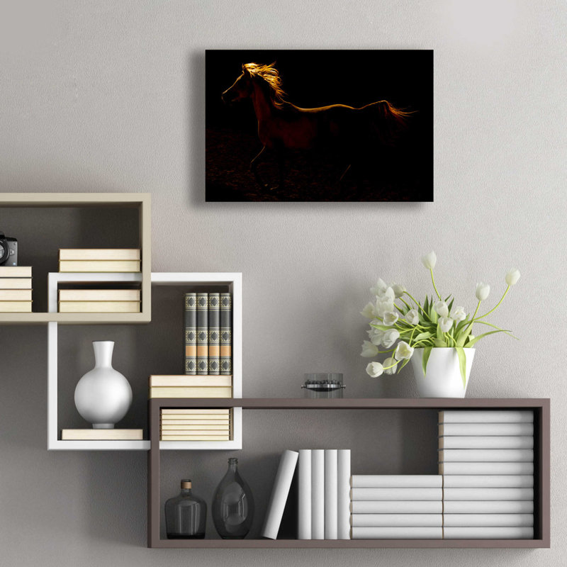«Rim Light» par Susan Friedman, H 16 po x l 24 po