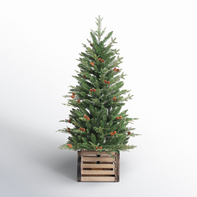 Hardesty 4' Pre-Lit Pine Christmas Tree