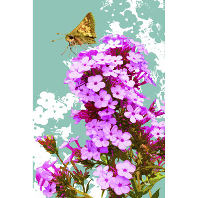 Skipper On Flox by Evelia Designs - Wrapped Canvas Print