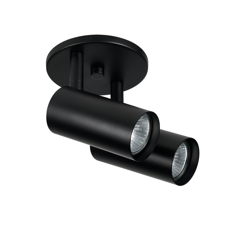 Stanly 2 Light Spotlight, Matte Black