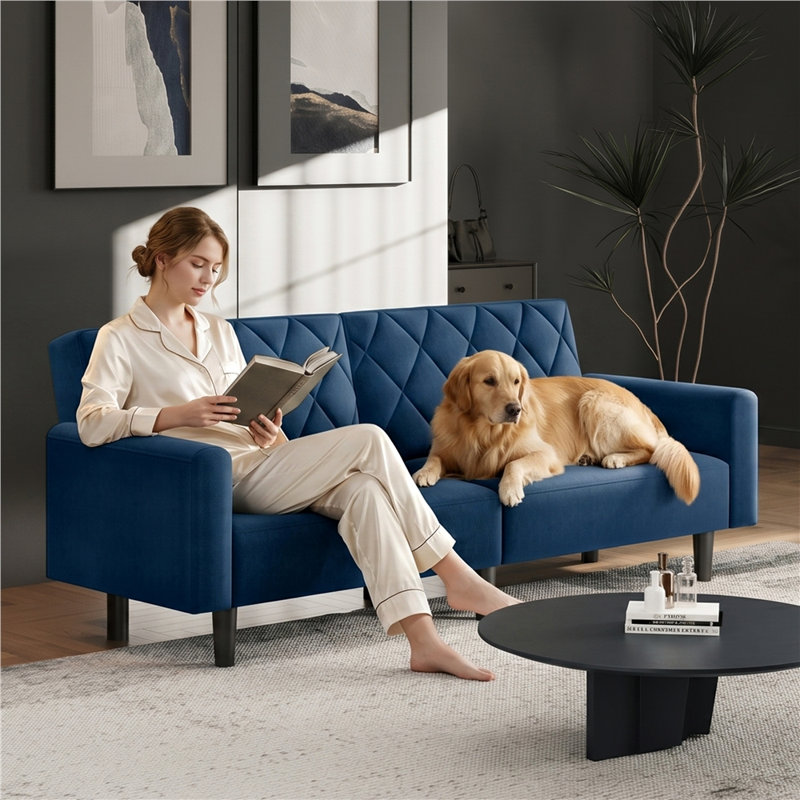 2-Seater Sofa Bed Aidden With Adjustable Backrest, Blue