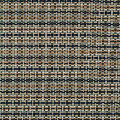 Robert Allen @Home Zanga Fabric