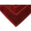 Tapis rouge Bradfield