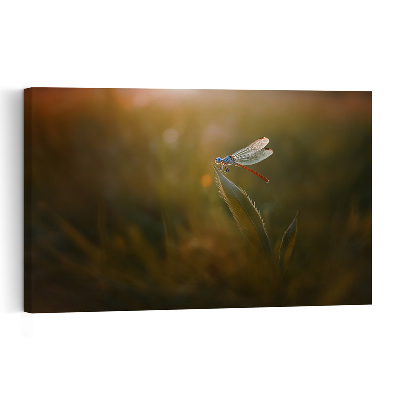 Delicate Dragonfly Delicate Peaceful Serene Dragonfly Nature Plant Wall Art Print by Edy Pamungkas - Print