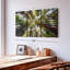 «Muir Wood California Redwoods» sur toile-474314452