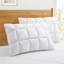 Oreillers luxueux en plumes blanches-365532567