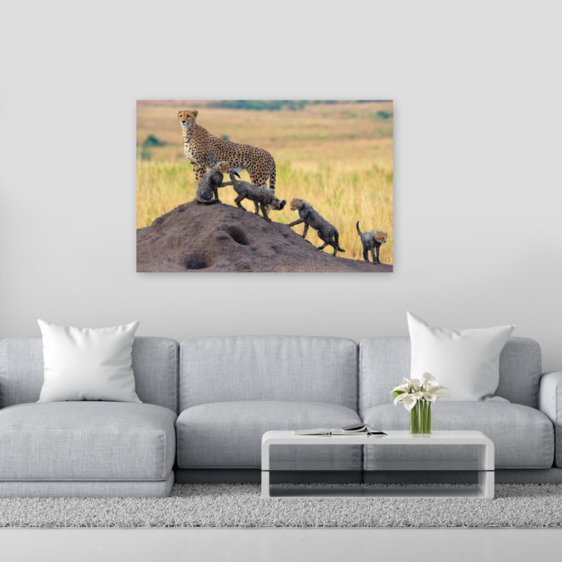 Wild Cheetah Family Playful Contemporary Cat Animal Landscape Wall Art Print 1 Piece Wrapped Canvas Wall Art
