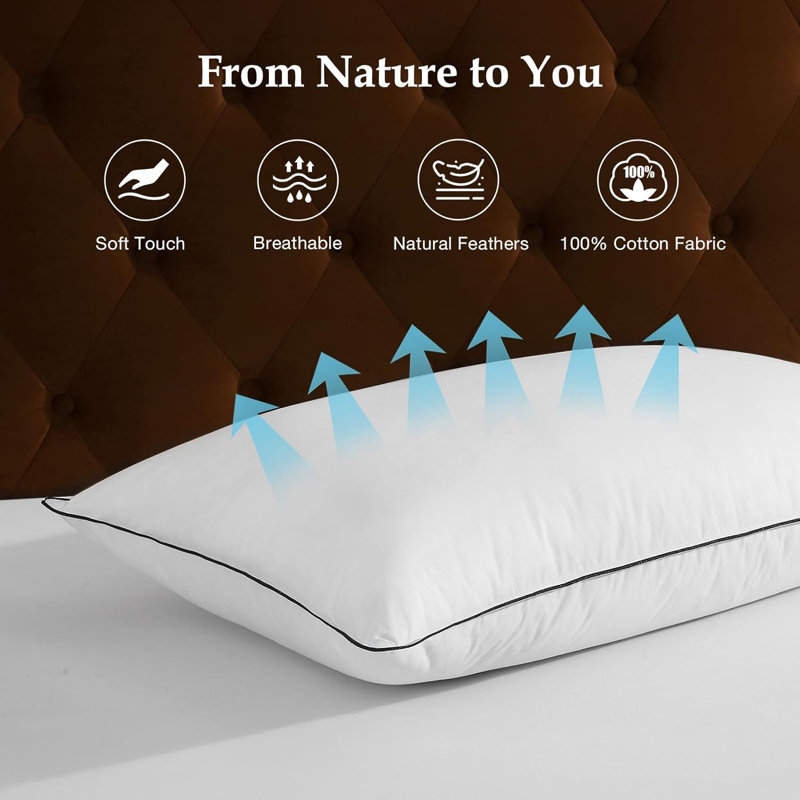 Down Feather Blend Soft-Medium Support Pillows (Set of 2), King