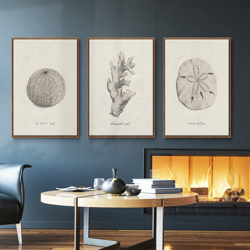 " Shore Treasure Study I " 3 - Pieces, Walnut, 27" H x 54" W