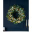 Faux Lighted Spruce 10.16cm Wreath