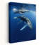 Humpback Whales Contemporary Dolphin Fish Whale Wall Art Print 1 Piece Wrapped Canvas Wall Art-1200168624