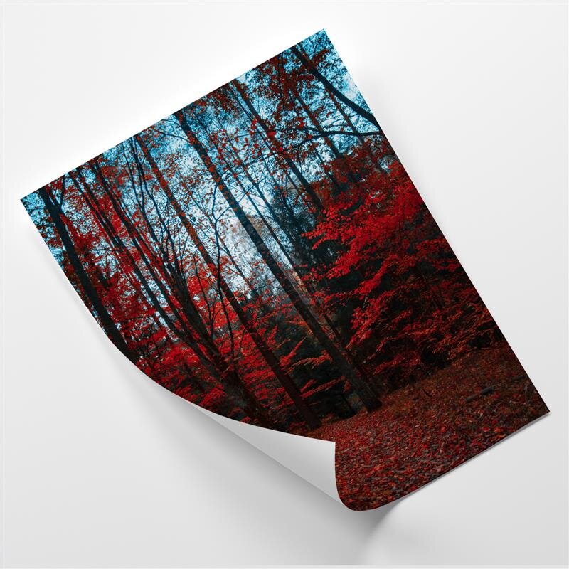 Poster Roter Wald