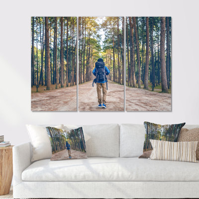 Wilderness Forest Hike - Hiking Canvas Wall Art Set