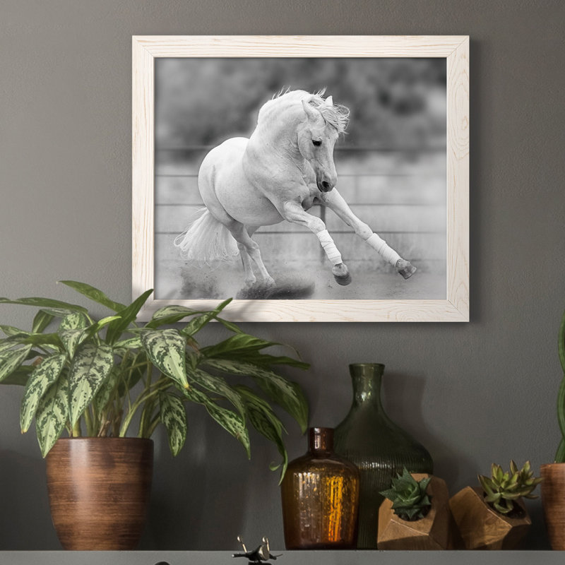 «All for Show», reproduction de photo sur toile encadrée, H 20 po x l 17 po x P 1,5 po, Blanc