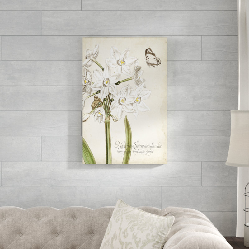 Narcissus Botanique I - Graphic Art Print, 76cm H x 51cm W, Wrapped Canvas