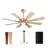SkyFan Procyon 60" 8-Blade Ceiling Fan-1915964824