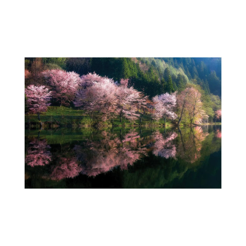 Another World by Takeshi Mitamura - Wrapped Canvas Print, 30.48 cm H x 45.72 cm W