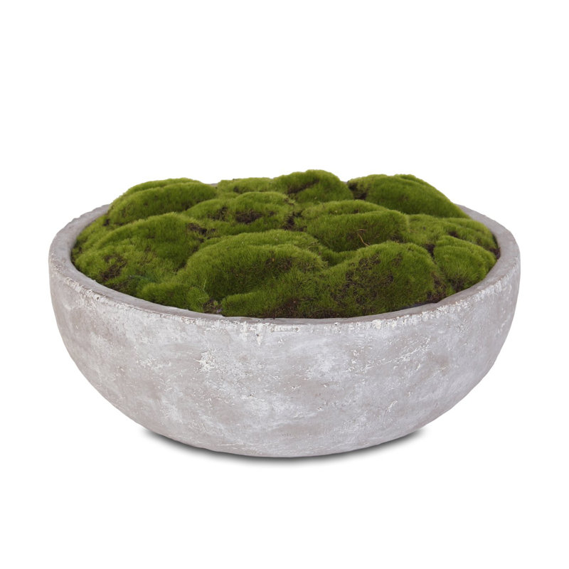 7'' Faux Succulent in Stone Pot