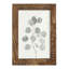 " Delicate Sage Botanical I "-414343440-414343450